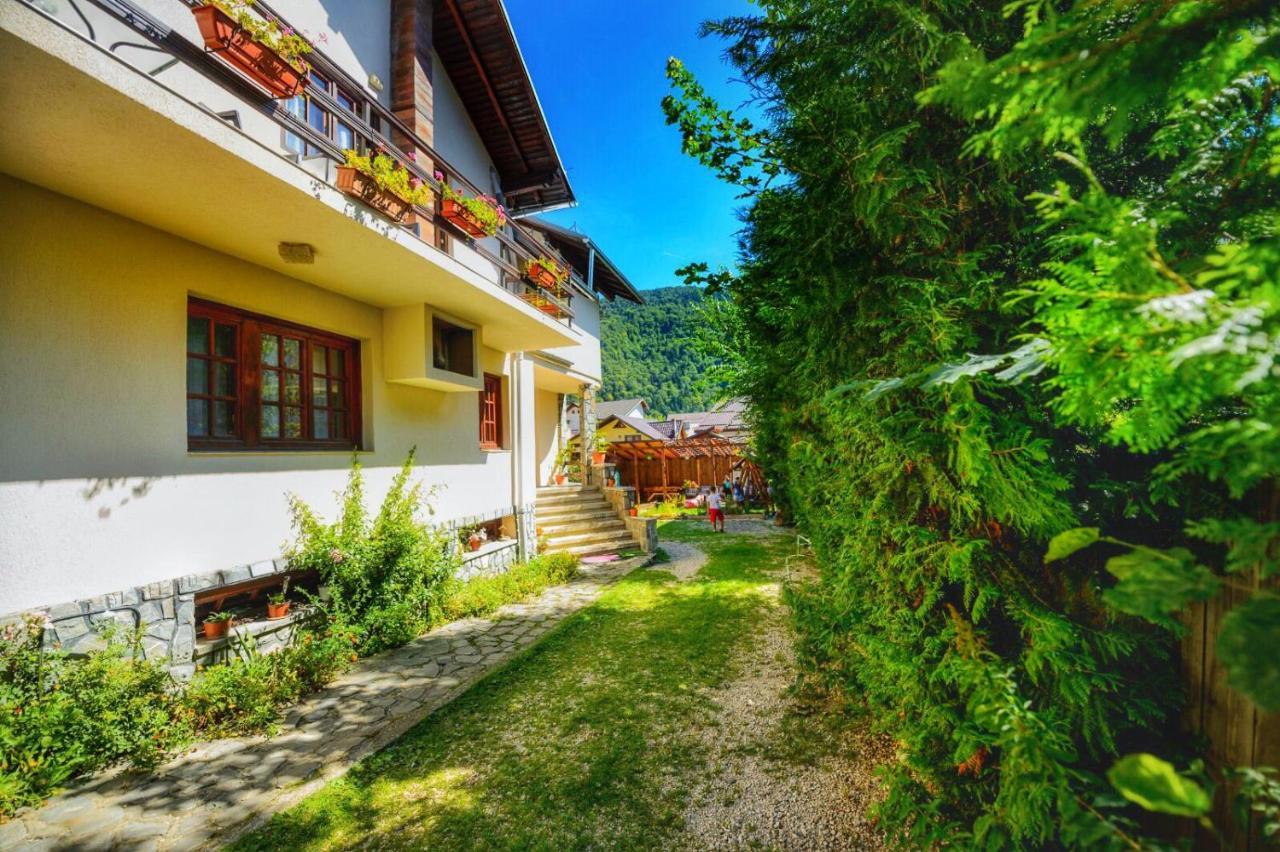 Amandra Chalet Sinaia Luaran gambar