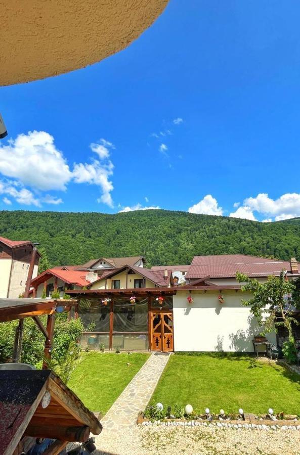 Amandra Chalet Sinaia Luaran gambar