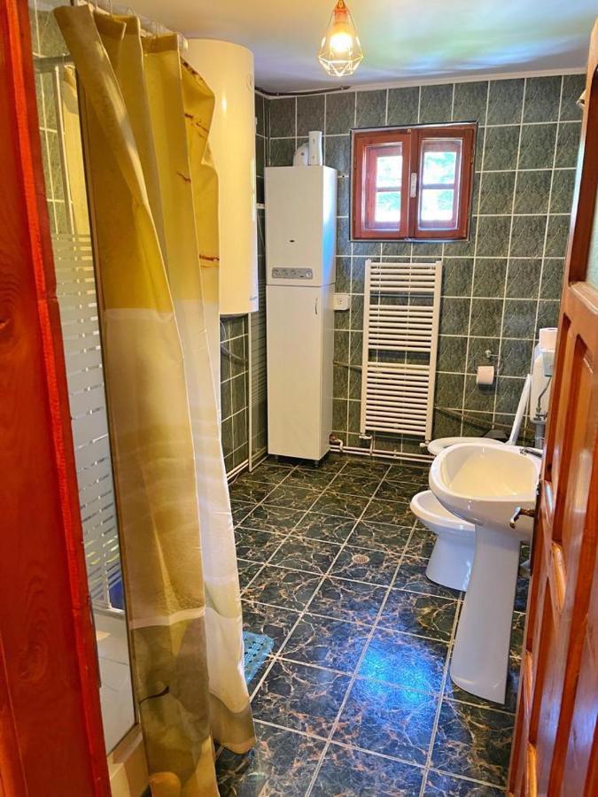 Amandra Chalet Sinaia Luaran gambar