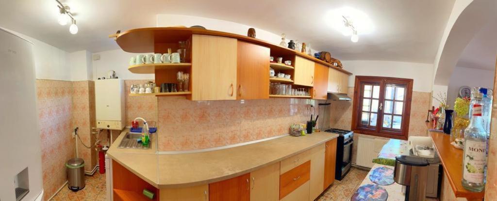 Amandra Chalet Sinaia Luaran gambar