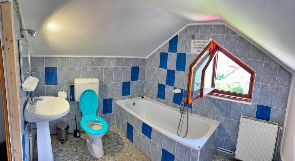 Amandra Chalet Sinaia Luaran gambar