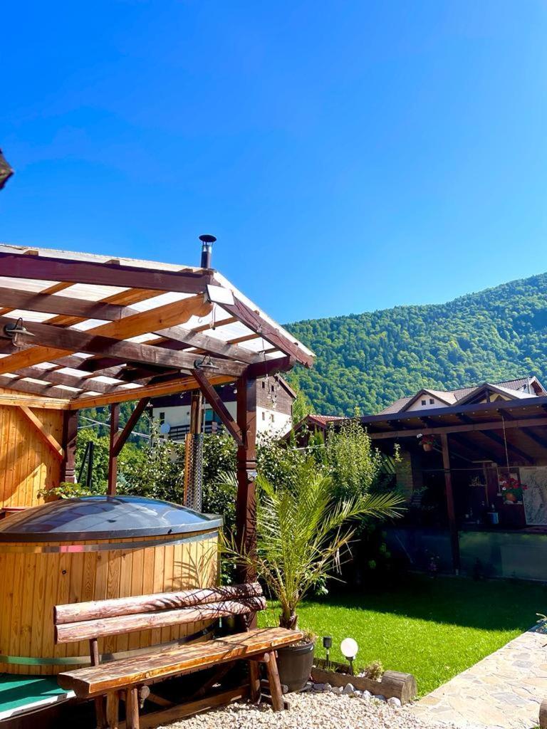 Amandra Chalet Sinaia Luaran gambar